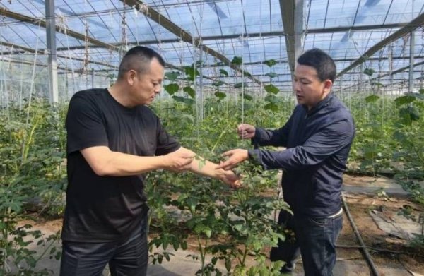 “农业保险＋” ｜ 多“撬”出65万！看这份保单如何为农户争取最大利益！